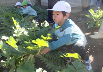 明照幼稚園の新園舎