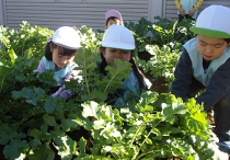 明照幼稚園の新園舎