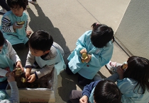 明照幼稚園の新園舎